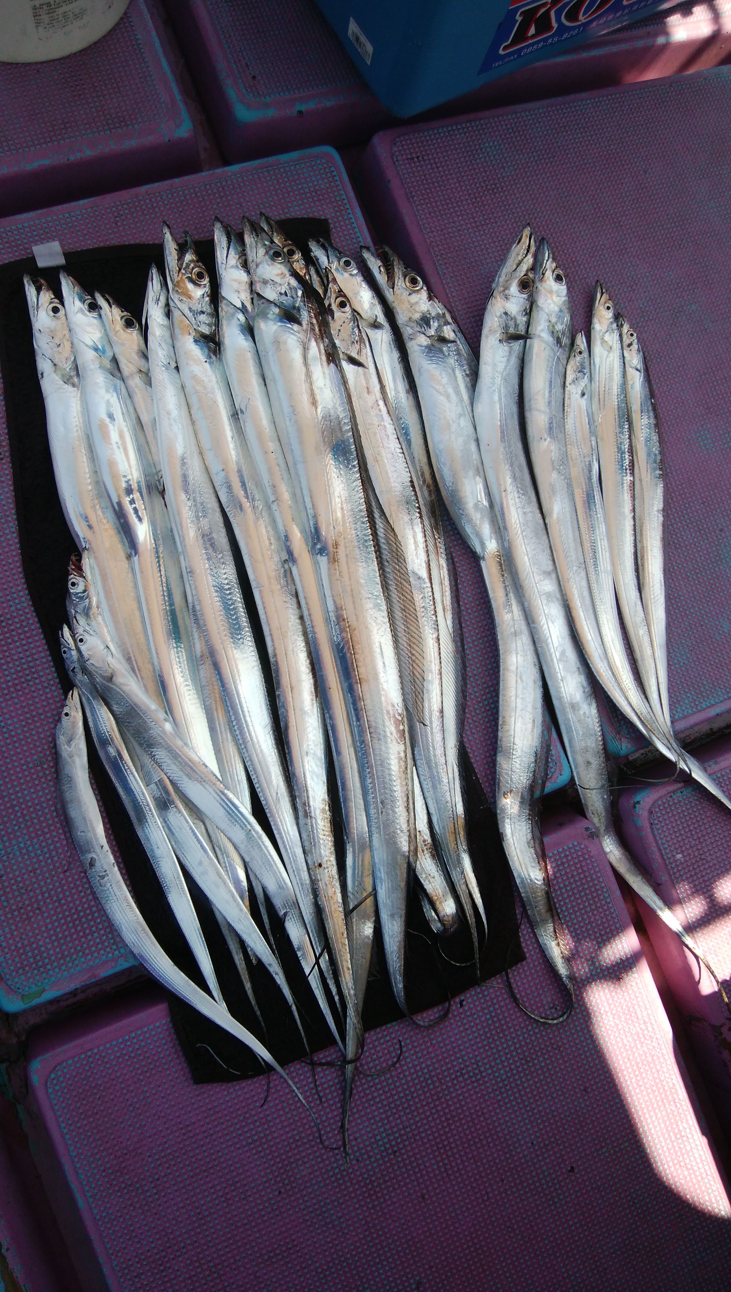 ���i�C���[�W