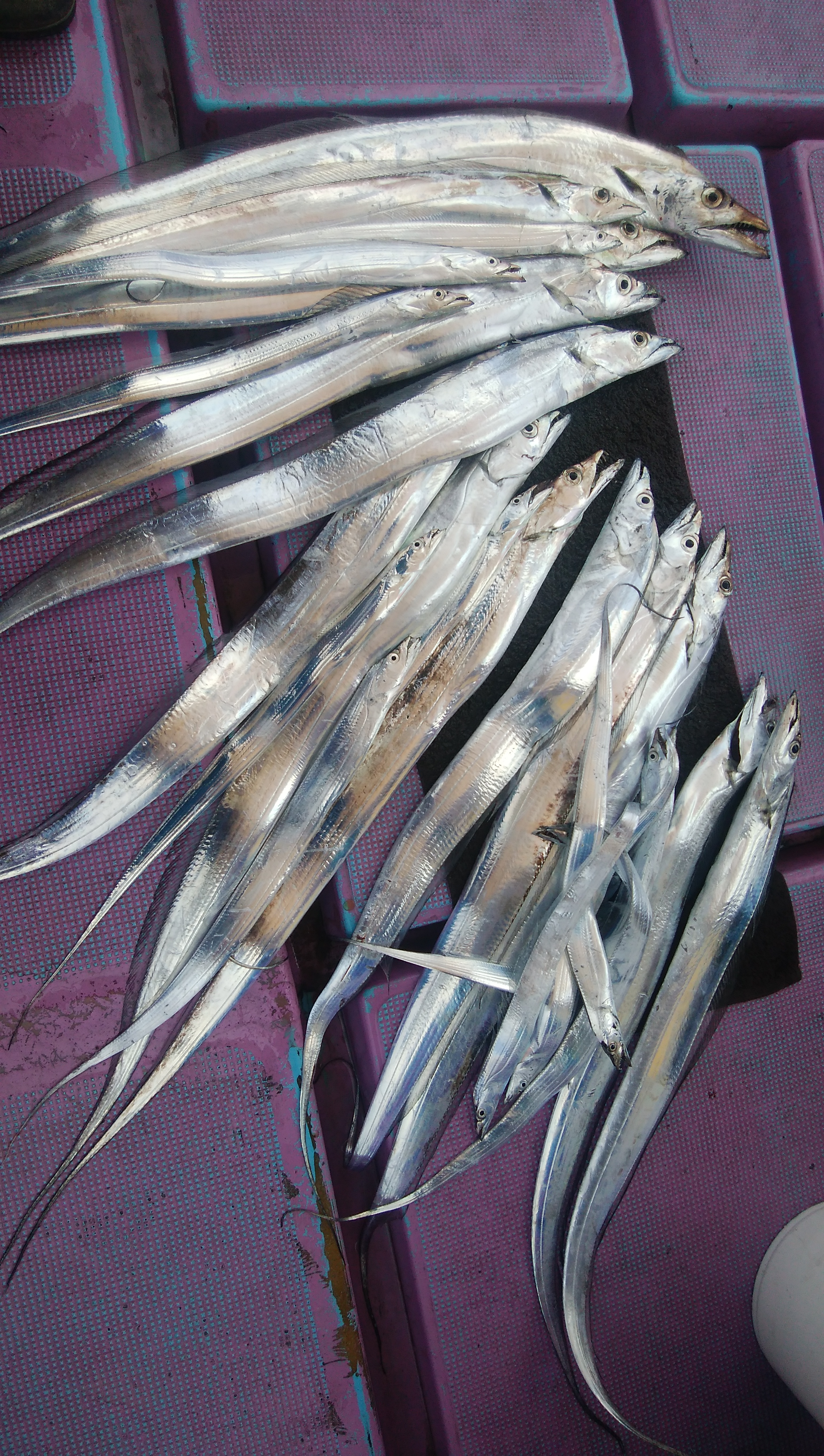 ���i�C���[�W