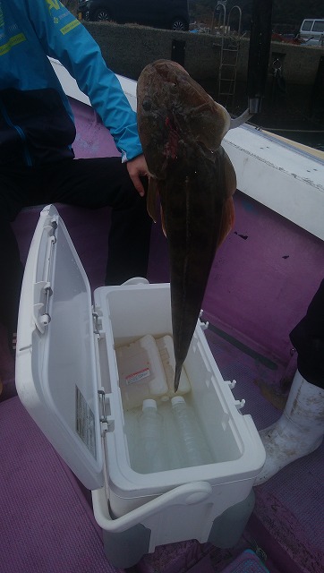 ���i�C���[�W