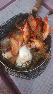 ���i�C���[�W