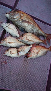 ���i�C���[�W